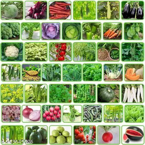 45 Varieties Vegetable Seeds Combo 2499 Seeds