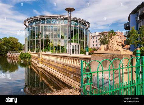 Sunderland museum winter garden hi-res stock photography and images - Alamy