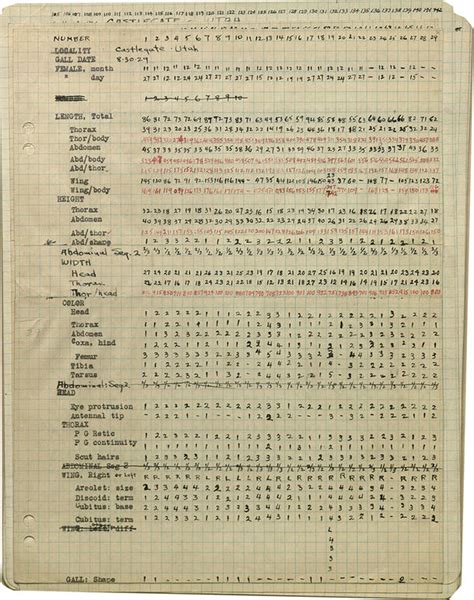 Alfred Kinsey S Gall Wasp Collection AMNH