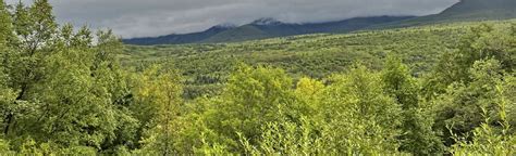 Valley Of Ten Thousand Smokes Road Reviews Map Alaska Alltrails