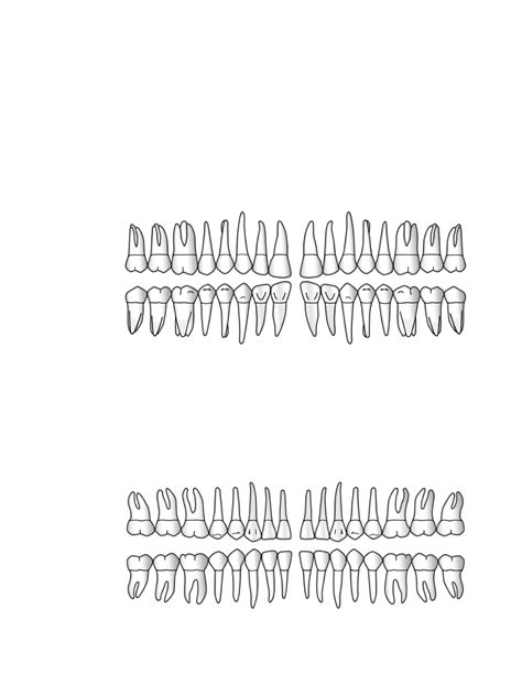 Printable Periodontal Charting