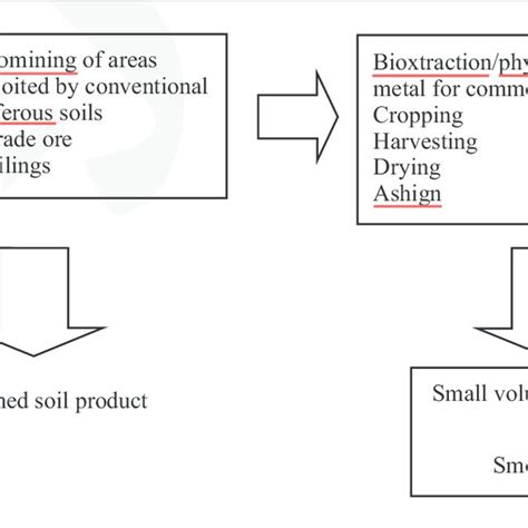 Integrated process for bioharvesting of metals by phytomining ...