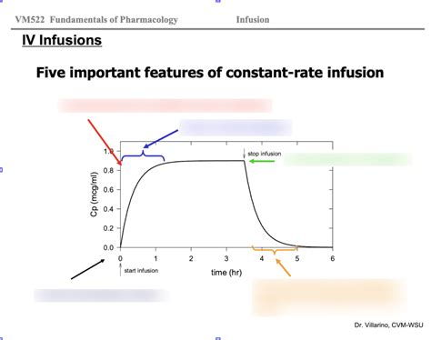 Iv Infusions Diagram Quizlet