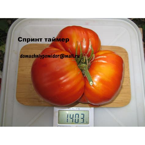 Спринт Таймер