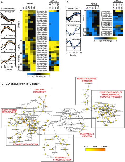 Frontiers Transcriptome Analysis Of Soybean Leaf Abscission