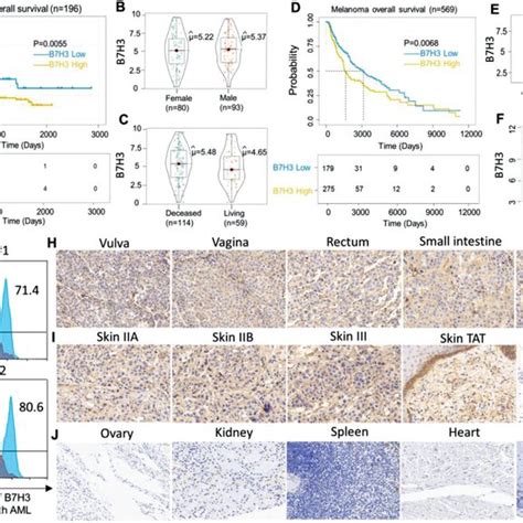 Biodistribution Of Lnp Lucmrna And Protein Expression Of B H Cd Bite