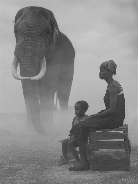 African Wildlife Photography Nick Brandt