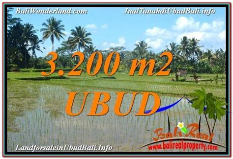 TANAH MURAH JUAL Di UBUD BALI 32 Are View Sawah Dan Gunung Batur