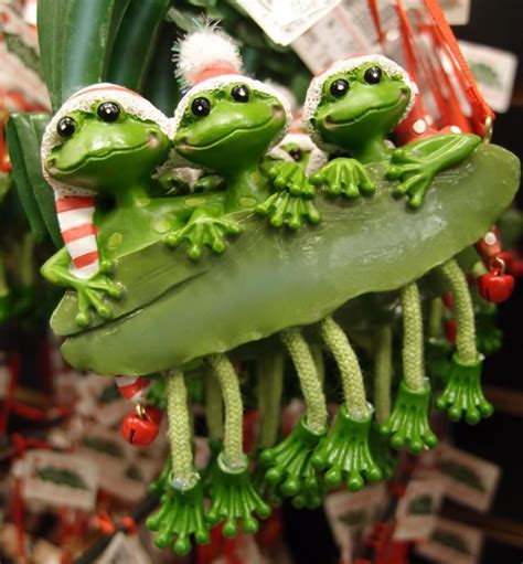 Merry Christmas Frog Frog Pictures Frog Art