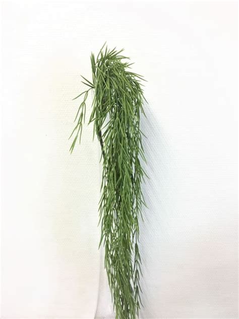 Chute Rhipsalis Vert Artificielle 109 Cm Gamm Vert