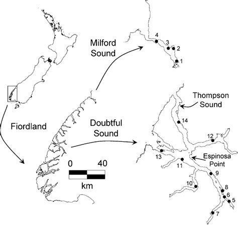 Study Areas The Fiordland National Park Along The Southwest Coast Of