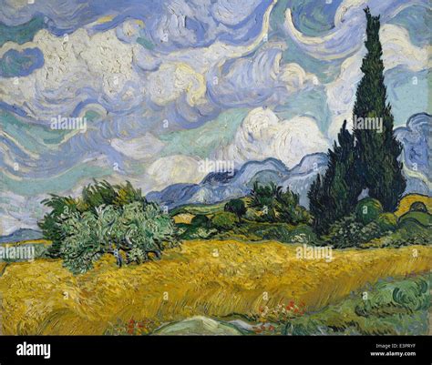 Vincent Van Gogh Weizenfeld Mit Zypressen Met Museum New