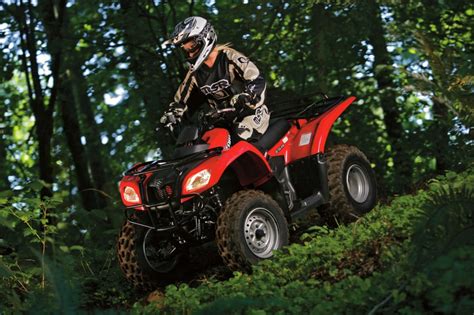 Review of Suzuki Ozark 250 2018: pictures, live photos & description Suzuki Ozark 250 2018 ...