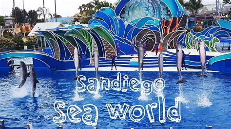 San Diego Sea World Water Park Sea World Review A Classic Mom