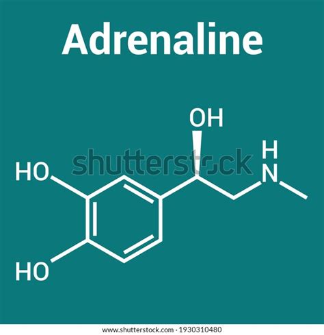 Chemical Structure Adrenaline C9h13no3 Stock Vector Royalty Free