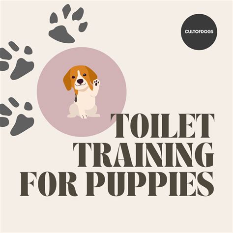 How To Toilet Train Your Puppy or Dog | Cult Of Dogs