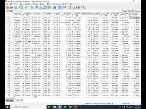 Ss E Spss Demonstration For Chapter Recoding Variables Youtube