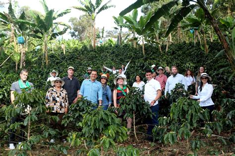 Let’s Talk Coffee Honduras to target top market trends - Global Coffee