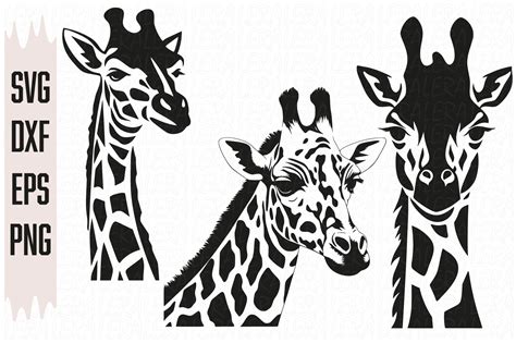 Giraffe, Vector, Silhouette Graphic by Lerastudio · Creative Fabrica