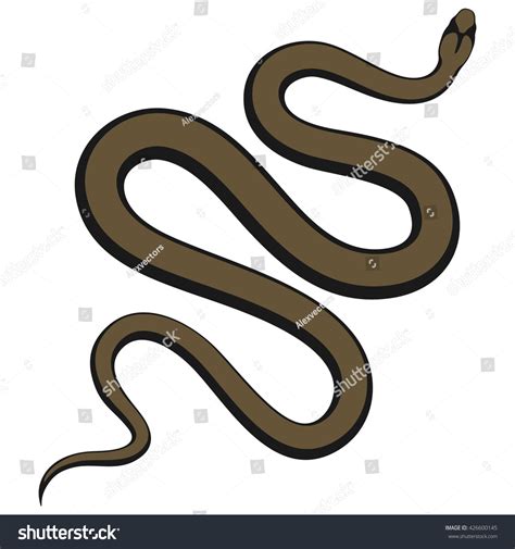 Brown Snake Vector Stock Vector Royalty Free 426600145