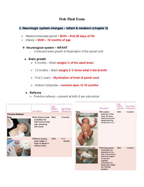 Peds Final Exam Peds Final Exam 2 Neurologic System Changes Infant