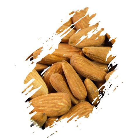Persian Almond