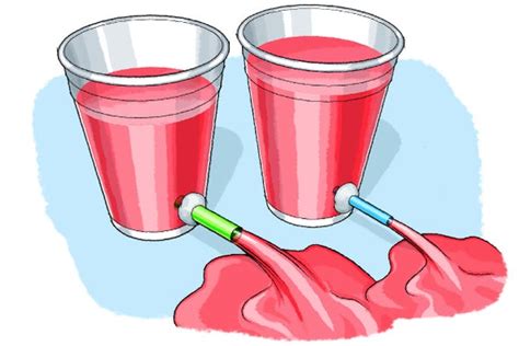 Build A Blood Flow Model Scientific American