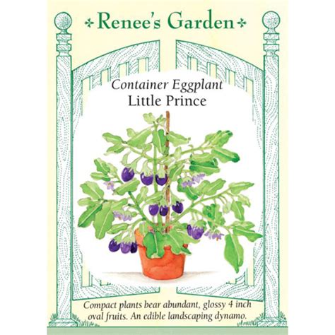 Renees Garden Eggplant Container Eggplant Little Prince 25 Seeds