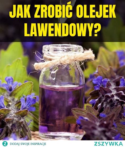 Olejek Lawendowy W A Ciwo Ci I Zastosowanie Jak Zrobi Oleje Na