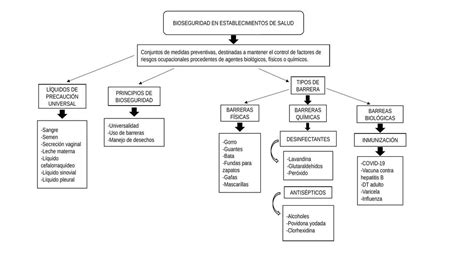 Bioseguridad en Establecimientos de Salud COPA ACUÑA NELSON uDocz