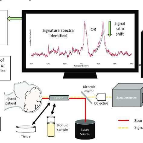 Illustration Of A Simplified Raman Spectroscopy System And Its