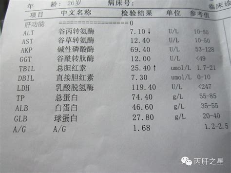 教你深入了解肝功能检查报告