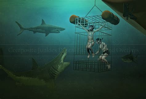 Underwater Digital Backdrop Shark Cage 1 Digital Backdrop Great White ...