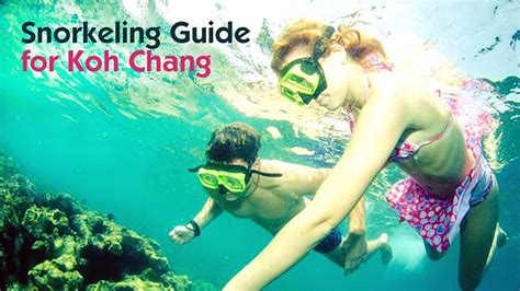 Snorkeling Guide For Koh Chang Koh Phangan Online Magazine