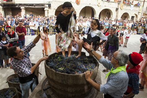 Verdú suspèn la 31a Festa de la Verema i el Vi