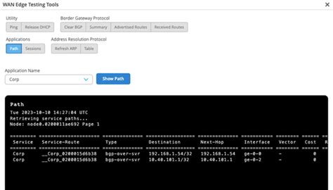 Service Level Experiences And Troubleshooting Session Smart Router