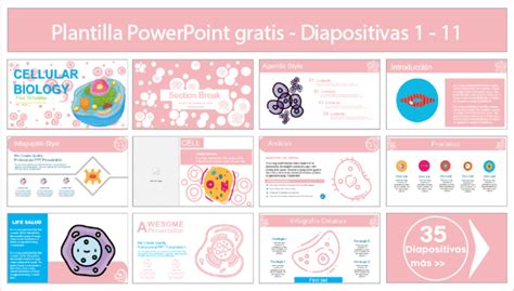 Plantilla Powerpoint De Biología Celular Plantillas Power Point Gratis