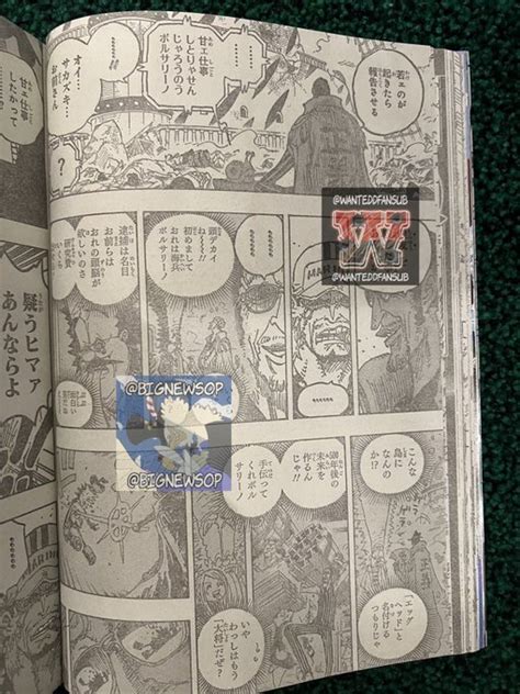 Capítulo 1124 de One Piece revela conexão profunda entre dois