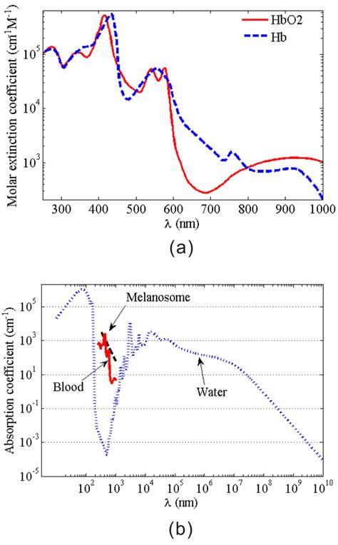 Color Online A Molar Extinction Coefficients Of Oxygenated And