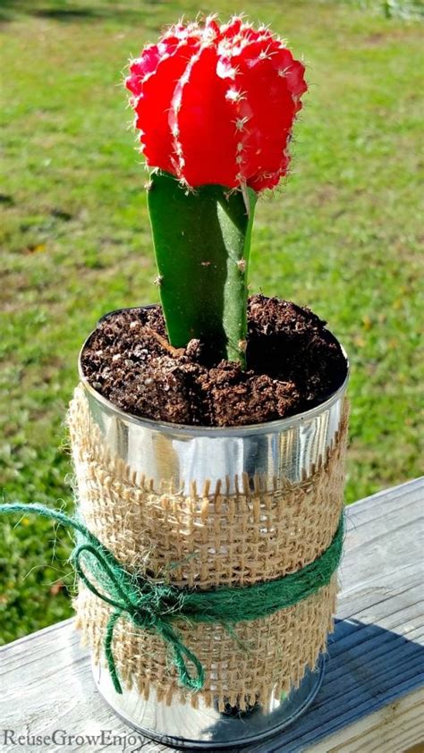 Easy Country Tin Can Planter Reuse Grow Enjoy