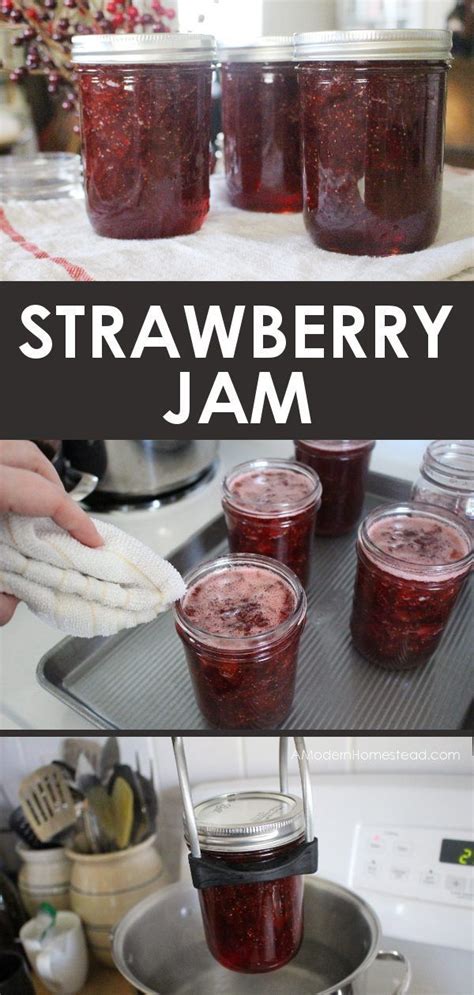 Beginners Guide To Water Bath Canning Recipe Canning Recipes