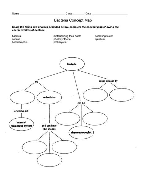 Cell Concept Map Worksheet Answers - Zipworksheet.com