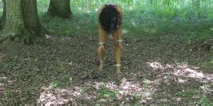 Tortured Outdoors Part 3 Porn Video Tnaflix