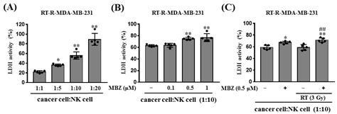 Ijms Free Full Text Mebendazole Increases Anticancer Activity Of Radiotherapy In