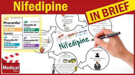 Nifedipine Procardia What Is Nifedipine Used For Uses Dose And