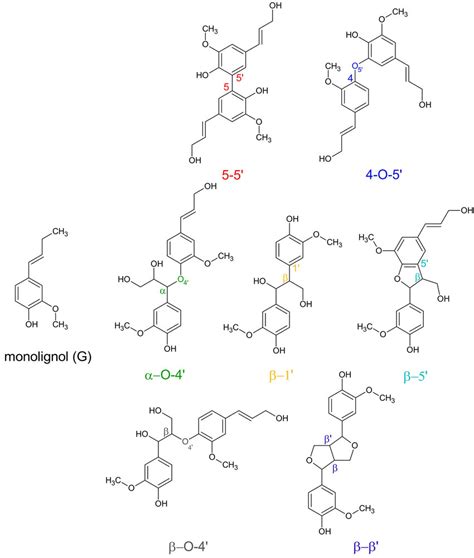 Chemical Structure Of The Monolignol G And Seven Linkages Connecting