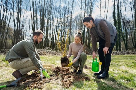 Tree Planting - Socially Responsible Team Building