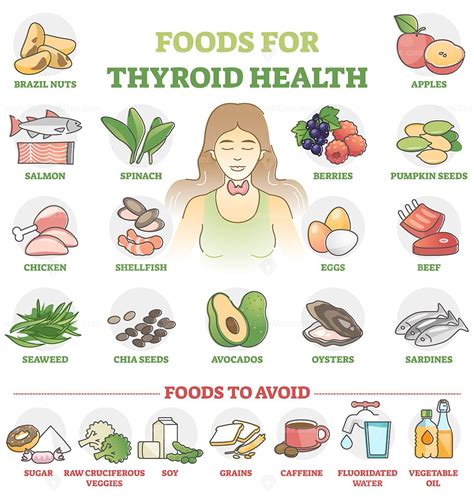 Foods For Thyroid Health As Good Products Choice For Wellness Outline Set Vectormine