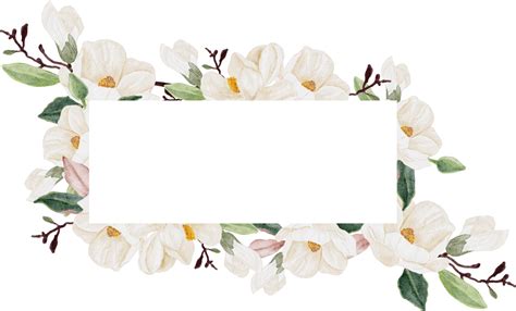 watercolor white magnolia flower branch bouquet square banner ...