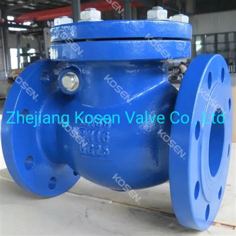 Ductile Iron Gray Cast Iron Non Return Swing Check Valve China Swing